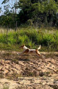 ZuWasserUeberStaubigeStrassen05