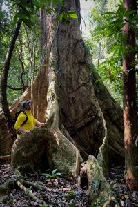 ZuWasserUeberStaubigeStrassen07