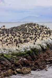 2585CFF5-825F-406A-BDEA-570C567C35AC