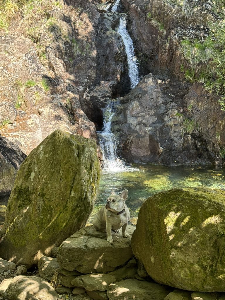 Mila sitzt zwischen Felsen vor einem kleinen Wasserfall bei Dinas Emrys.
