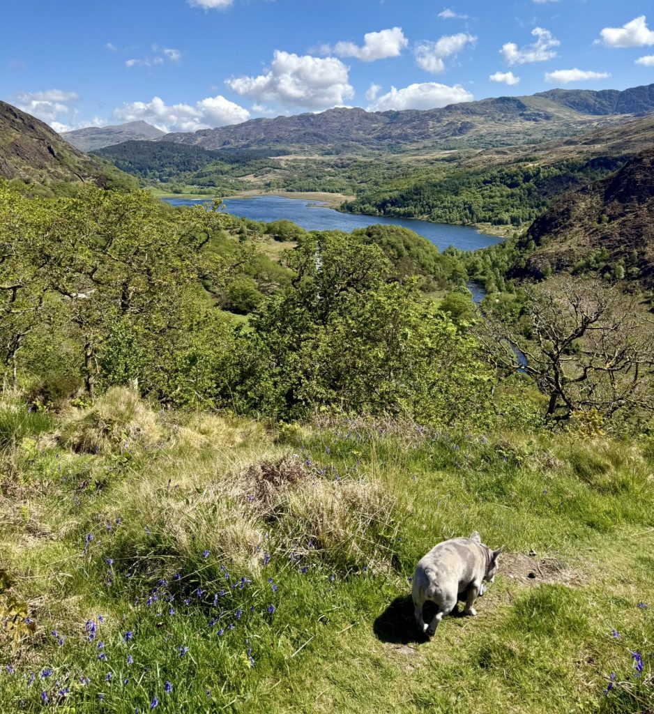 Mila geht über einen Hang; dahinter im Tal liegt ein See zwischen grünen Bergen.