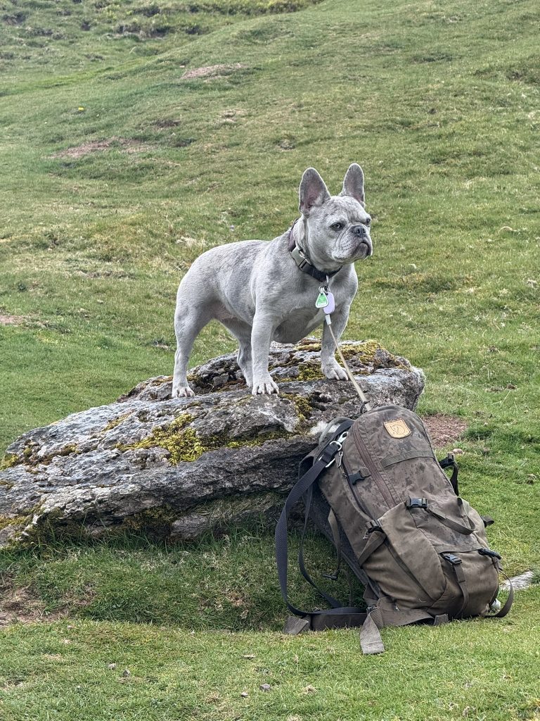 Mila steht auf einem Felsen. Im Hintergrund sieht man die Anhöhe eines Hügels.