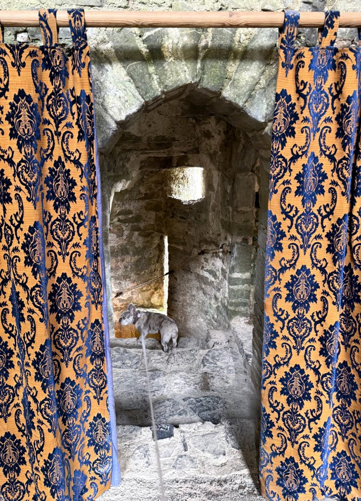 Mila steht auf einer steinernen Treppe in einer Burg, eingerahmt von gemusterten Vorhängen.