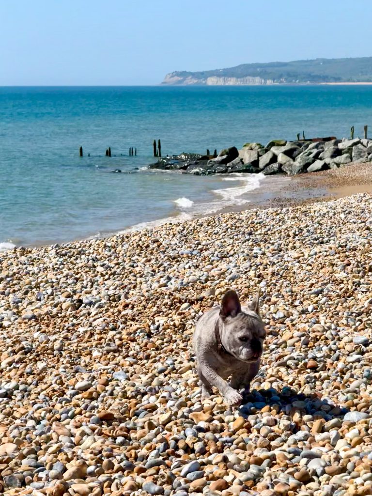 Mila läuft auf einem Kiesstrand; dahinter liegen das Meer und eine Steilküste.