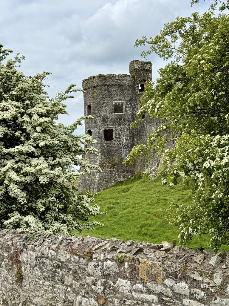 Ein steinerner Burgturm ragt hinter einer niedrigen Mauer und weiß blühenden Bäumen auf.