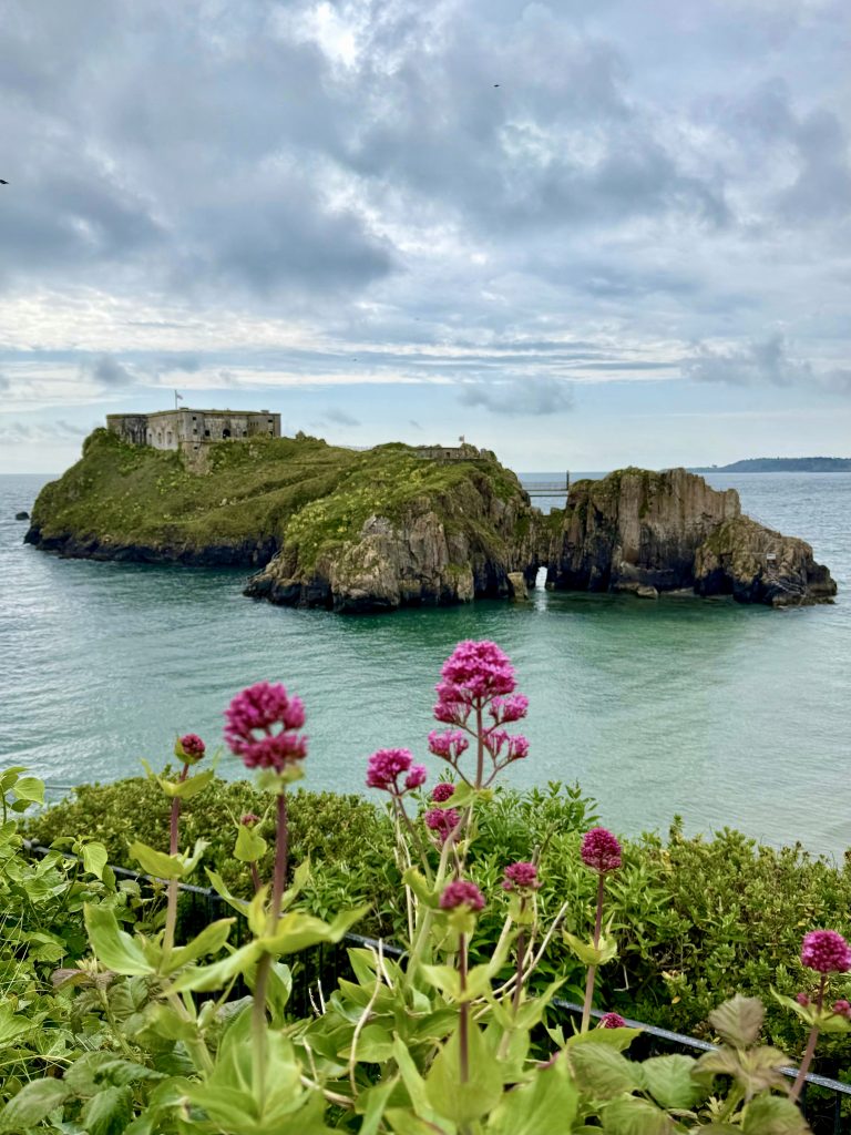 St Catherine’s Fort steht auf einer Felseninsel vor der Küste von Tenby; im Vordergrund blühen rosa Blumen.