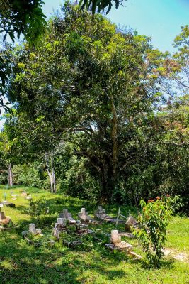 AufDenSpurenDerMissionare04