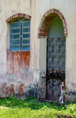 AufDenSpurenDerMissionare14