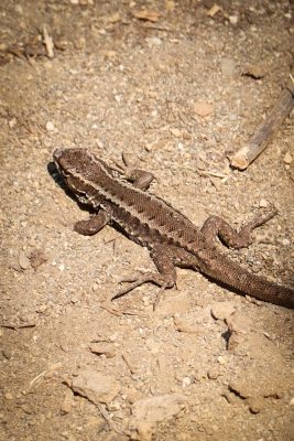 BEAFE7EF-66AC-48E3-8D53-FF1BDDBD2EF1