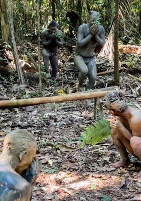 PicknickImDschungel03