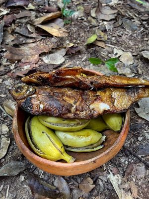 PicknickImDschungel07